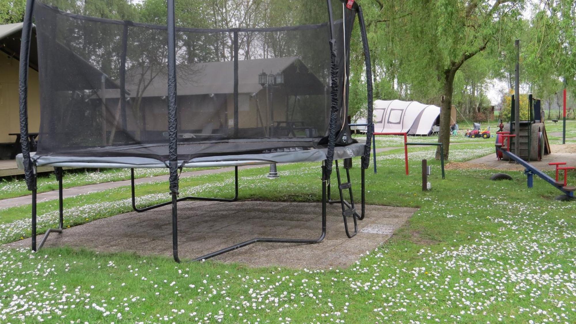 Hoeveheikant Lage Mierde Bagian luar foto
